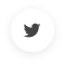 Social Icon